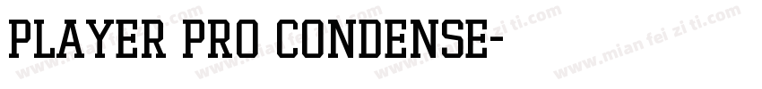 Player Pro Condense字体转换